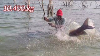 Amazing Fishing 🎣 10.400.kg 2.500.Kg KiG SIZE ROHU Fishes to Single Hook to Catching