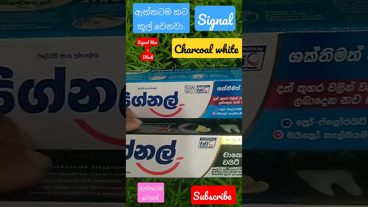 Signal Blue vs  Black  කට කූල් වෙන්න දත් මදිමු. 