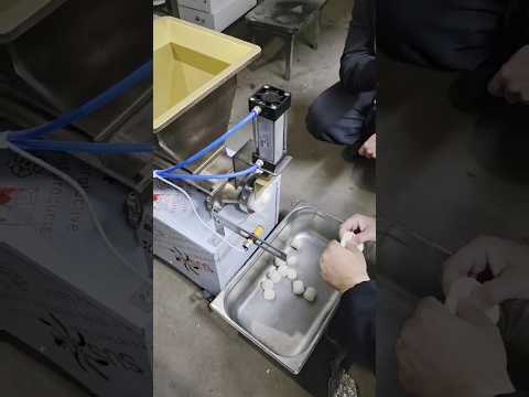 Тістоділитель-дрібноштучний Vektor D03P (0,2-200 гр.), відео 1