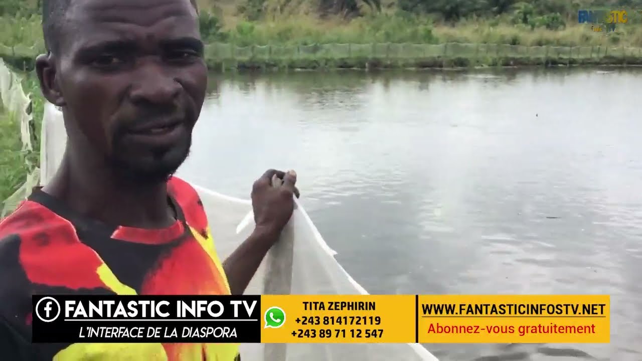 PISCICULTURE , EN FIN BA CONGOLAIS BA LAMUKI TALA BA ETANGS OYO