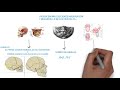 LACTANCIA MATERNA y la ODONTOLOGÍA. Crecimiento mandibular, lactancia artificial y mixta.