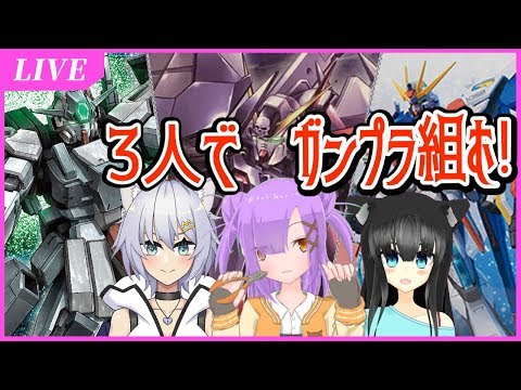 【LIVE2.5D模型放送】積み消化！ガンプラを組んでいく!!【初見歓迎・雑談放送】