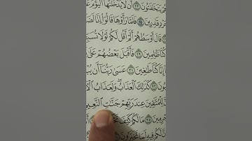 سورة القلم تلاوة من ٣٥ إلى ٤٢