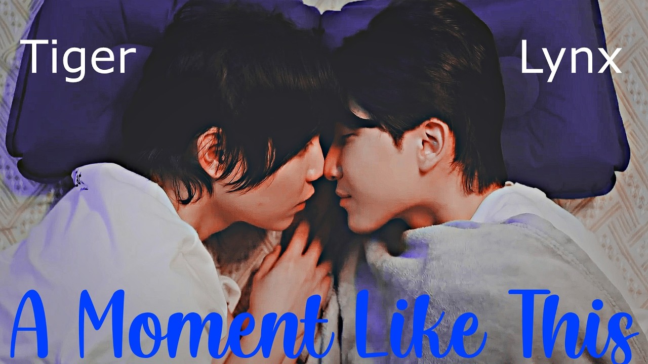 Cat For Cash - Moment Like This (Tiger x Lynx) Ep 6