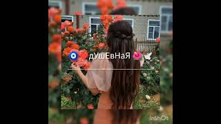 🧿❤️новая 👑__цыганская __👑песня⚜️ __ищет __💞 все 🧿__дУшЕвНаЯ __❤️