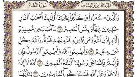 سورة التغابن/محمد ايوب رحمه الله