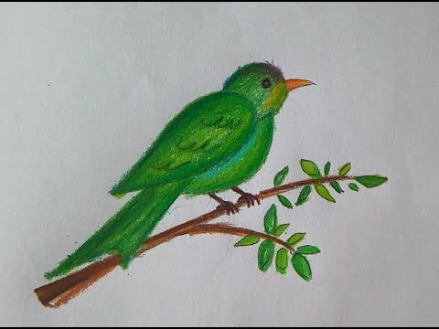 วาดรูปนกง่ายๆสีไม้ How to draw a simple bird.