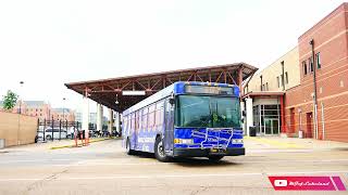 Bus Observations of Tennessee (May 2026)