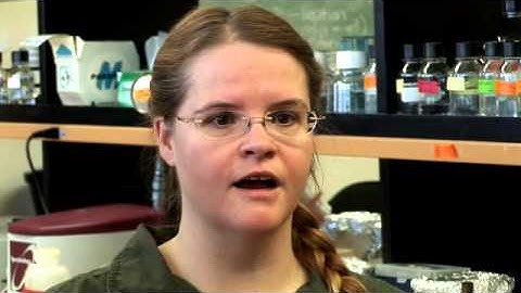 Meet the Scientist: Not Just Any Bug