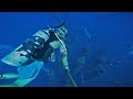 Deep scuba diving cutoff oil platform spearfishing wahoo  mahi  ccc sushi  texas gulf of mex
