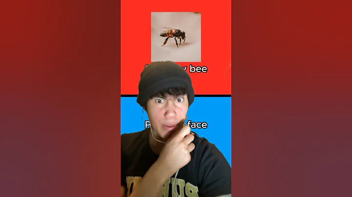 Would you rather be SLAPPED in the face? #shorts #funny #wouldyourather #viral #trending