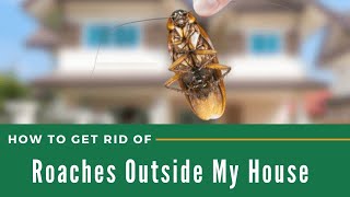 How to Get Rid of Roaches Outside My House | The Guardians Choice