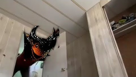 You are in a Slasher movie but it