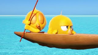 Wheres Chicky ? Lost At Sea - New Episodes In Hd