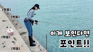 Download Lagu 바닥에 이게 다 뭐래?? 👀 / 고흥 맛집, 구독자님 추천 카페 MP3 Download Lagu 바닥에 이게 다 뭐래?? 👀 / 고흥 맛집, 구독자님 추천 카페 MP3