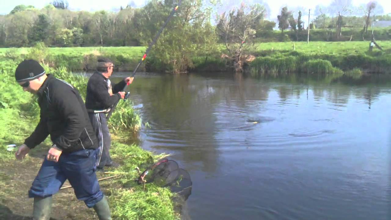 Bream Fishing in Ballinrobe YouTube