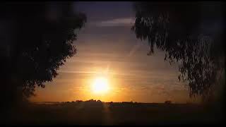 مشاهد للمونتاج  شمس غابة شروق الشمس  HD Video Background