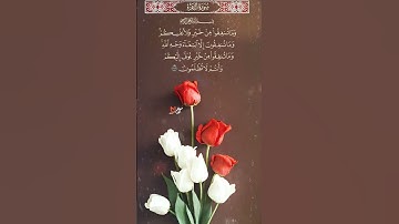 سورة البقرة ، لَّيْسَ عَلَيْكَ هُدَاهُمْ وَلَٰكِنَّ اللَّهَ يَهْدِي مَن يَشَاءُ ۗ