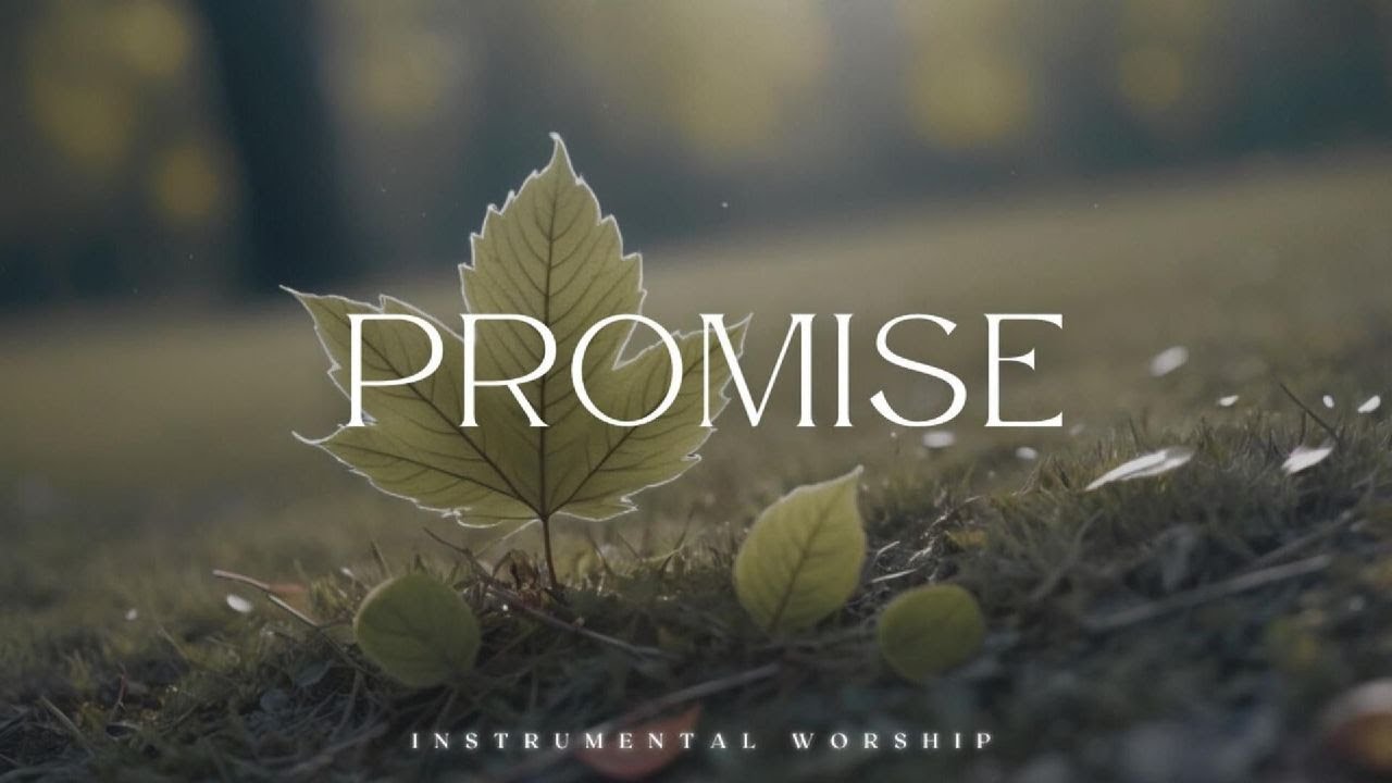 PROMISE | Worship Soaking Instrumental | Prayer & Devotional Music.
