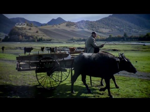 ერთი ფოტოგრაფის მიერ დანახული პანკისის ხეობა