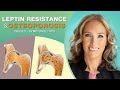 Leptin Resistance | Osteoporosis & Leptin Resistance | Dr. J9 Live