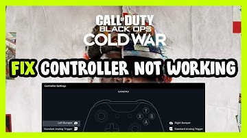 FIX Call of Duty: Black Ops Cold War Controller/Gamepad Not Working on PC