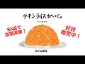 SNSで話題沸騰！巷で噂の絵本『チキンライスがいく。』！（はらぺこめがね/作）