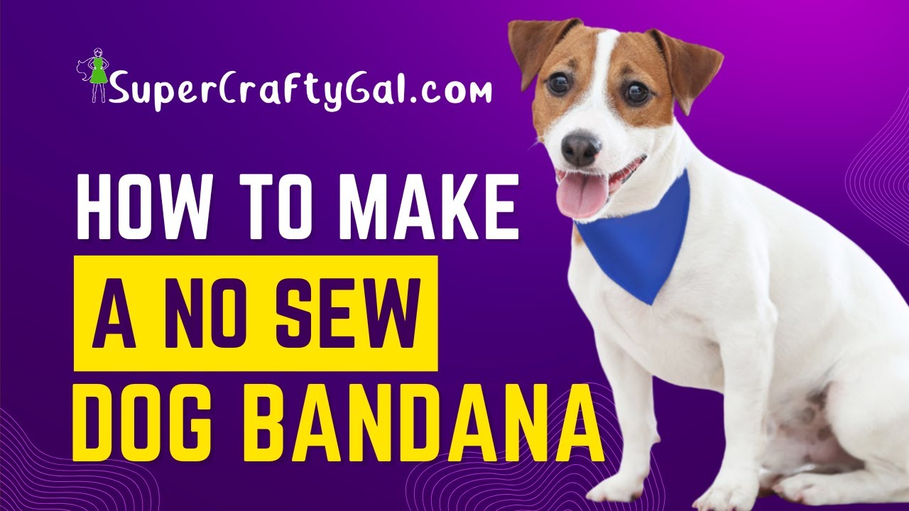 No-Sew DIY Dog Bandanas with (Cheat!) Finished Edges - Dalmatian DIY