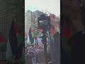 فلسطين فخامة اسمي تكفي 