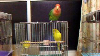 DSCF3782.avi