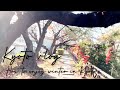 sub【vlog】冬の京都散歩と京都縛りの１日を楽しむ日常