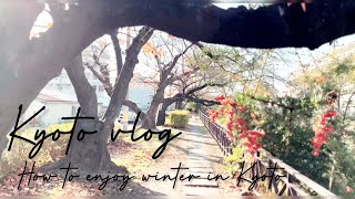 sub【vlog】冬の京都散歩と京都縛りの１日を楽しむ日常