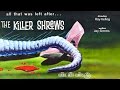 The Killer Shrews | Full FREE Classic Horror Movie