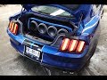 Mustang Shelby (DEMO)