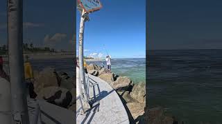 Tons of jacks and lady fish were caught at the Inlet as well