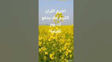 احترم القرآن الكريم لعله يشفع لك يوم القيامة