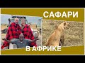 #5 АФРИКАНСКОЕ САФАРИ, ПАРК ТАРАНГИРИ. КУДА МЫ ПОПАЛИ? Первые впечатления. ТАНЗАНИЯ