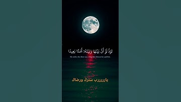 #المصحف #الرحمن #لايك اللهم اجعل القرآن الكريم ربيع قلوبنا ونور صدورنا يارررررب العالمين ⭐