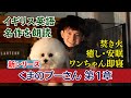 【イギリス英語朗読】くまのプーさん(第１章) Winnie the Pooh Chapter1