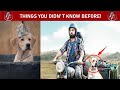 Unknown Facts about DOGS | Things you didn't know about Dogs | Dog Lovers MUST WATCH |