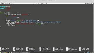 Go (golang) Tutorials - File I/O using OS Package Profile