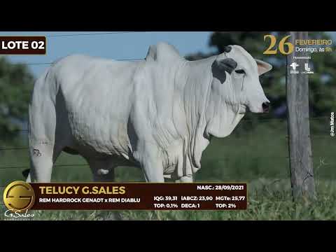 LOTE 02   MFBN 8344