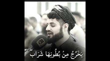 تلاوه جميله للشيخ رعد الكردي (وَأَوۡحَىٰ رَبُّكَ إِلَى ٱلنَّحۡلِ)