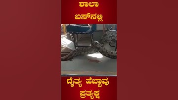 Giant Python Caught On School Bus | Viral Video | U Plus Tv