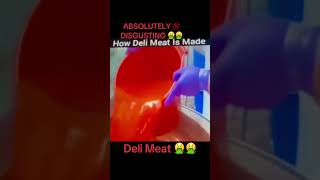 Download Mp3 ABSOLUTELY DISGUSTING 💯🤮🤮🤮🤮#idonteatmeatanymore Gudang lagu Download Mp3 ABSOLUTELY DISGUSTING 💯🤮🤮🤮🤮#idonteatmeatanymore