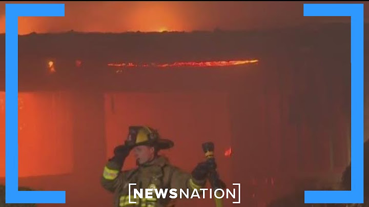 Pacific Palisades fire reaches more than 2,900 acres in Southern California | NewsNation