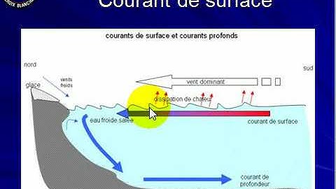 Cours BNSSA et MNS Dangers et Sécurité des Baignades 4/10 Dangers liés aux courants