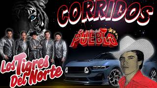 ☆puros corridos perrones 💥 los tigres del norte ☆☆Chalino Sánchez 💥 el rey del corrido 💥💥