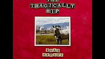 The Tragically Hip   Fiddler's Green with Lyrics in Description