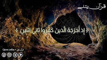 إِلّا تَنصُروهُ فَقَد نَصَرَهُ اللَّهُ ♥️ لاتحزن إن الله معانا #قرآن_يتلي  القارئ عبدالرحمن مسعد